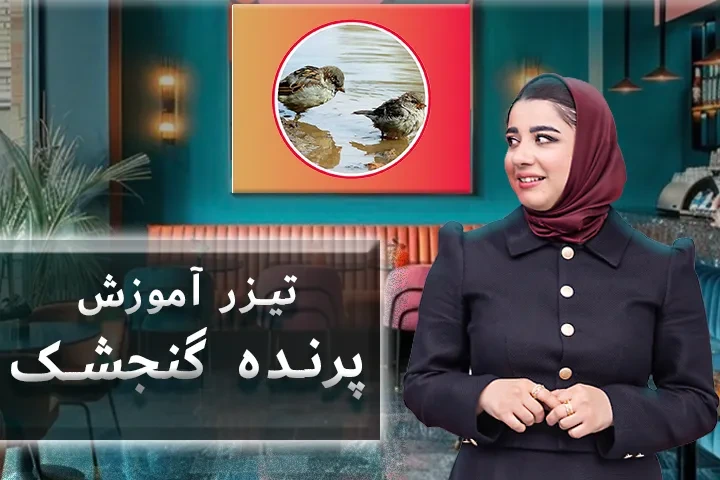 تیزر آموزش گنجشک